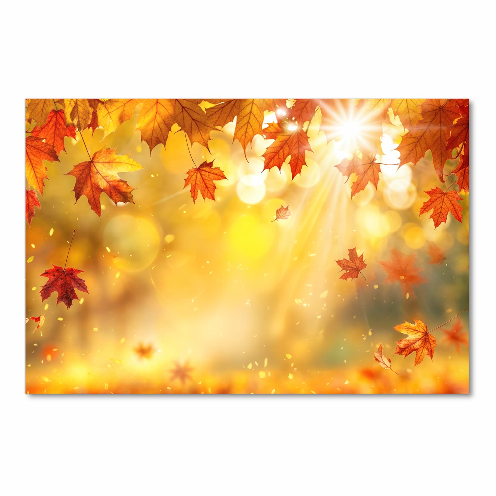 Rutschfester Küchenteppich mit Motiv Herbstblätter Sonne in Frontansicht schützt den Boden