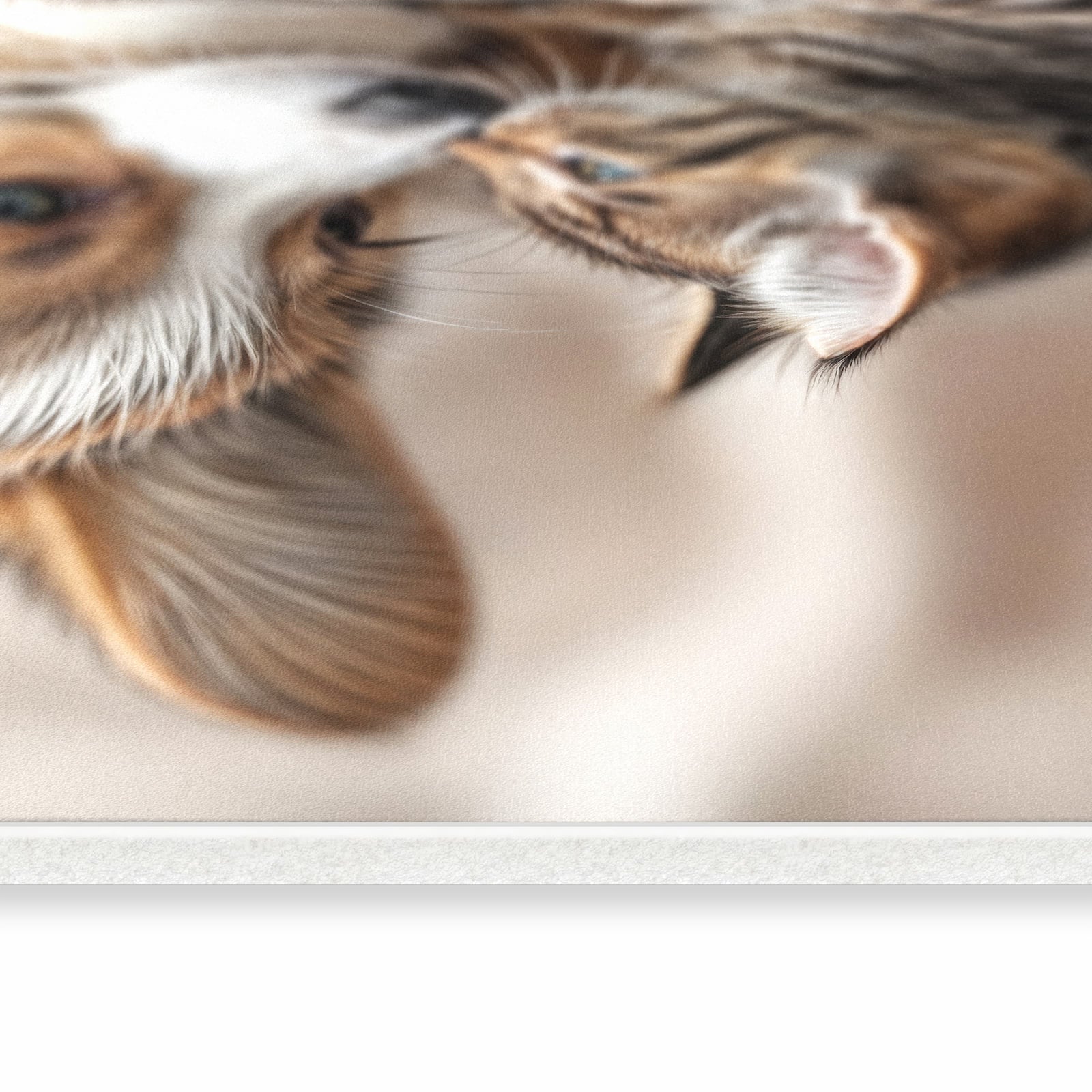 Schmutzabweisender dünner Teppich mit Motiv Welpe und Kätzchen in seitlicher Ansicht