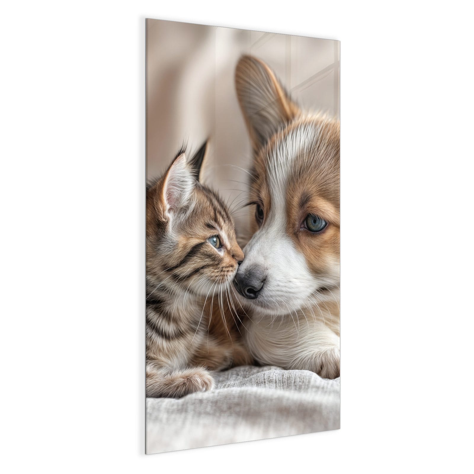 #grösse_50 x 100 cm