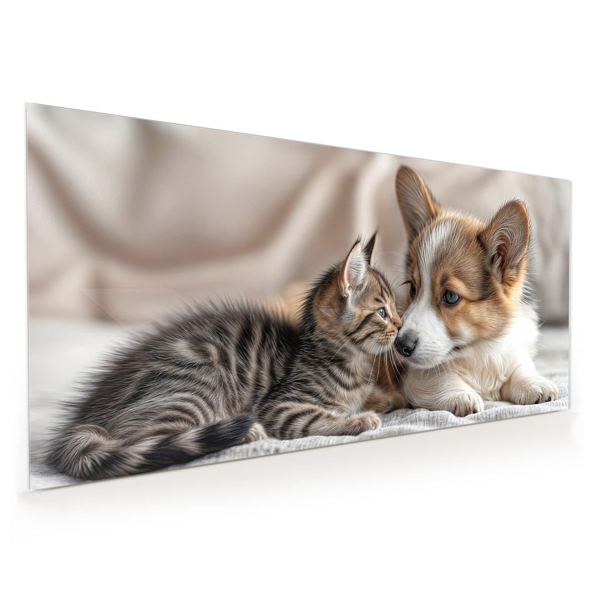 Küchenrückwand aus Glas im Hochformat: Corgi-Welpe und getigertes Kätzchen liegen Kopf an Kopf auf heller Decke