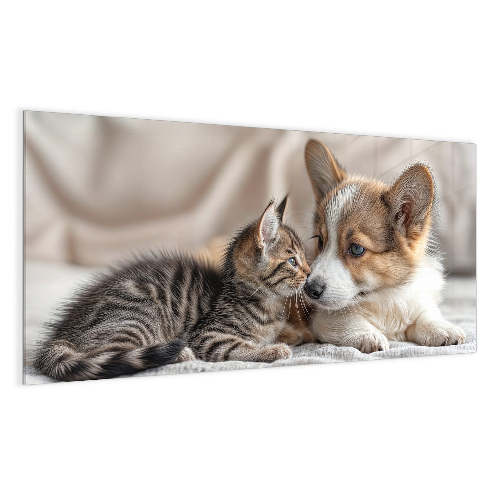 #grösse_100 x 50 cm