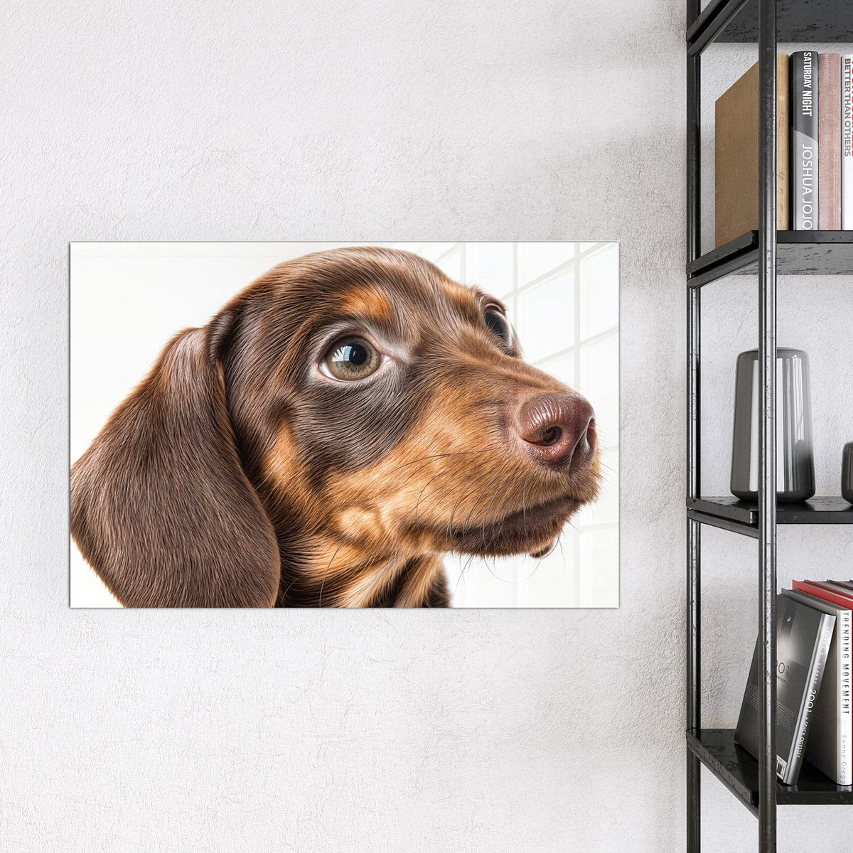 9 Größen – von 30 × 30 bis 120 × 90 cm – Magnettafel - Dackelwelpe