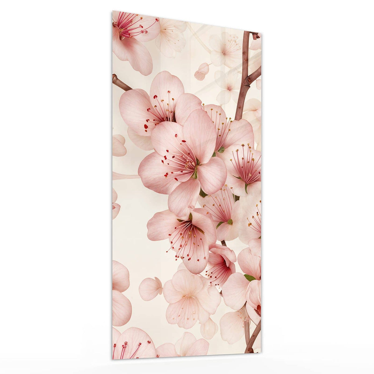Glasbild Kirschblüten auf Creme von der Seite, 4 mm Echtglas