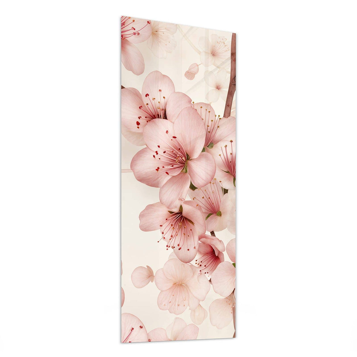 Glasbild Kirschblüten auf Creme von der Seite, 4 mm Echtglas