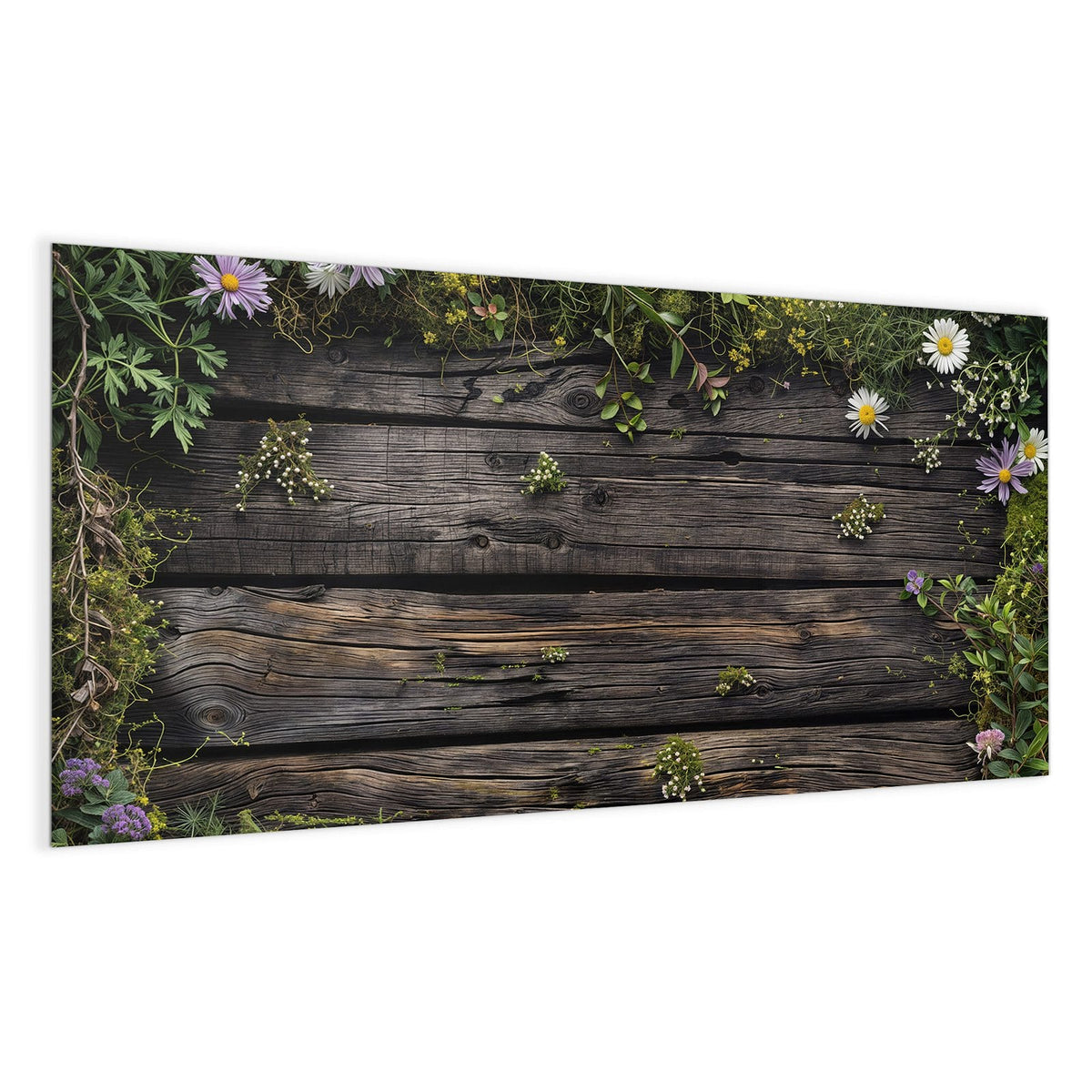 Dunkle verwitterte Bretter, oben und rechts von Wildblumen, Margeriten und Grün umrahmt