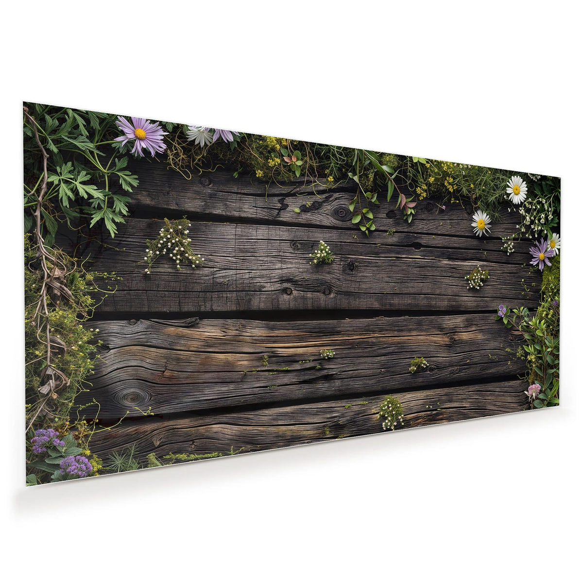 Dunkle verwitterte Bretter, oben und rechts von Wildblumen, Margeriten und Grün umrahmt