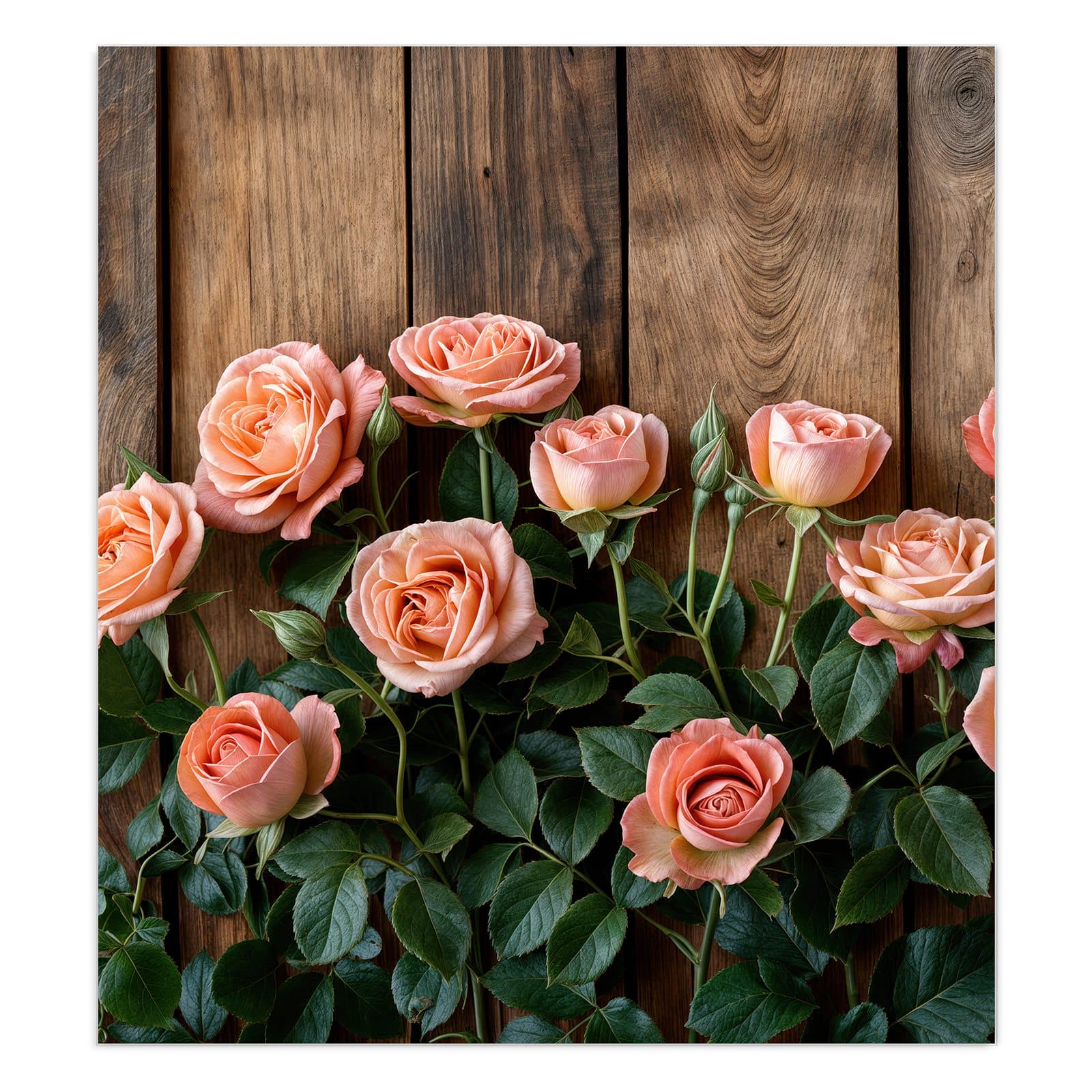 #grösse_90 x 100 cm