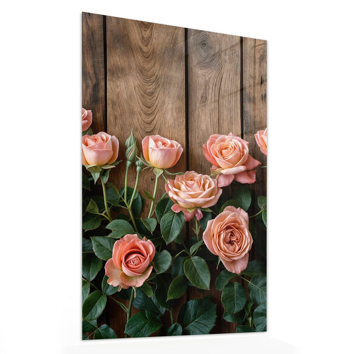 11 Größen – von 30 × 60 bis 60 × 150 cm – Wandbild - Rosen vor Holzwand - Hochformat