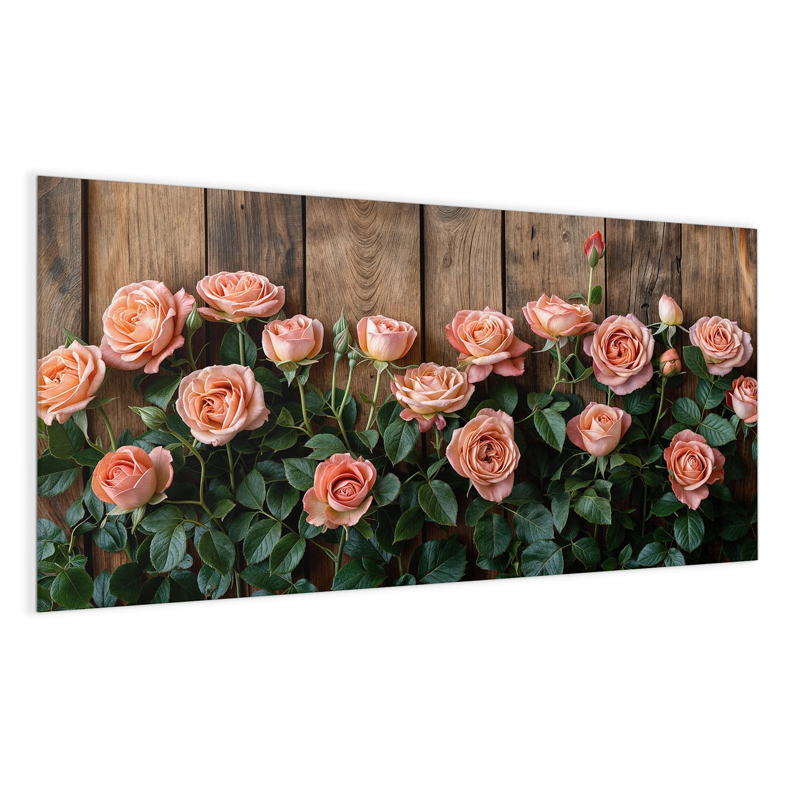 #grösse_100 x 50 cm