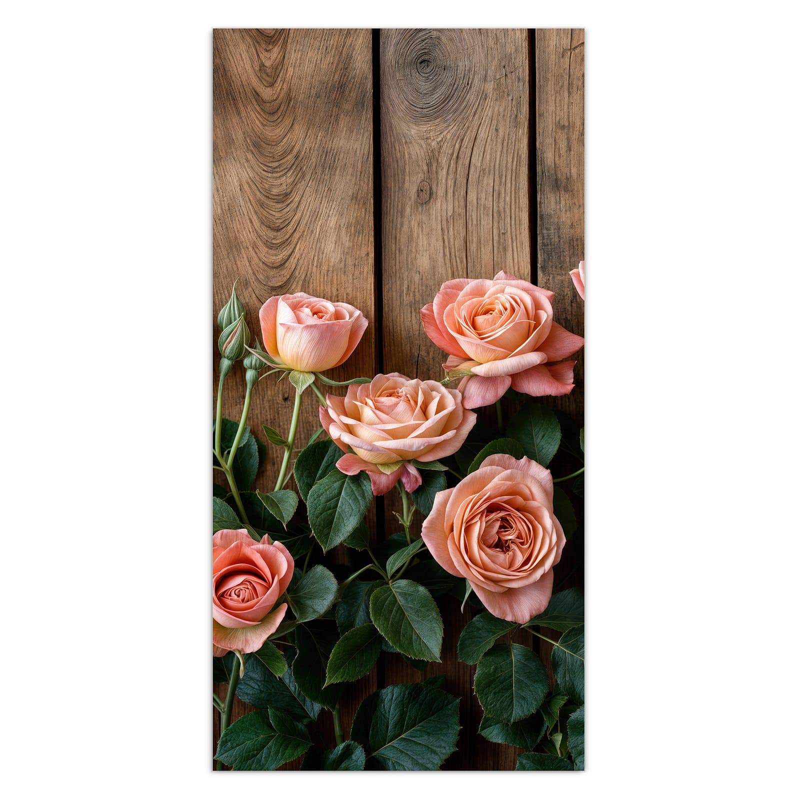 #grösse_30 x 60 cm #grösse_40 x 80 cm #grösse_50 x 100 cm #grösse_55 x 110 cm #grösse_60 x 120 cm