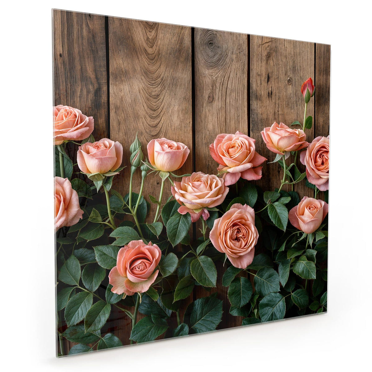 #grösse_40 x 40 cm #grösse_50 x 50 cm #grösse_60 x 60 cm