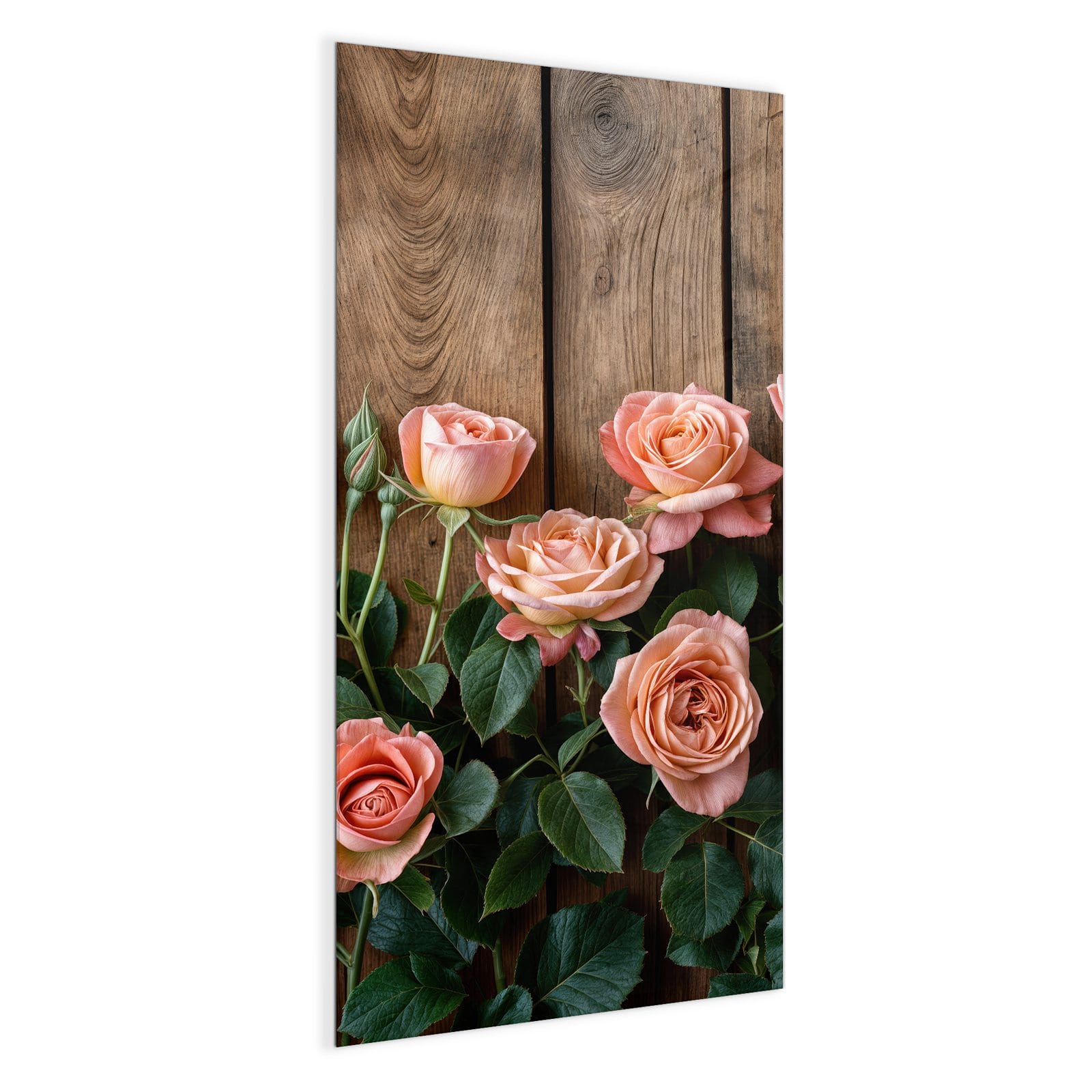 #grösse_50 x 100 cm