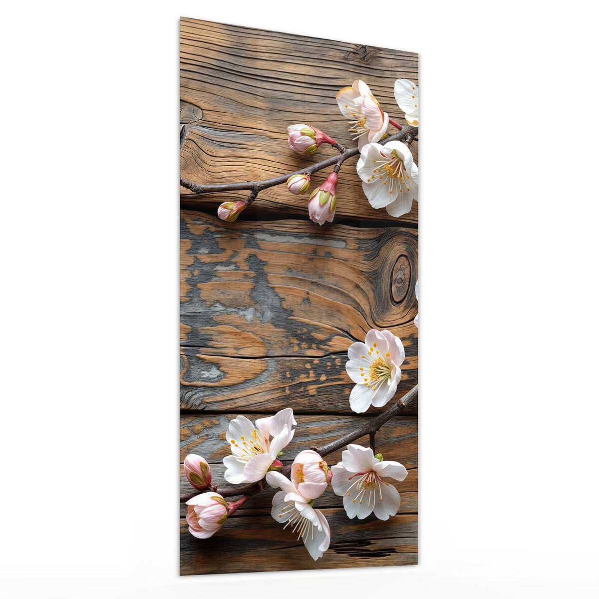 Glasbild Kirschblüten auf Altholz von der Seite, 4 mm Echtglas