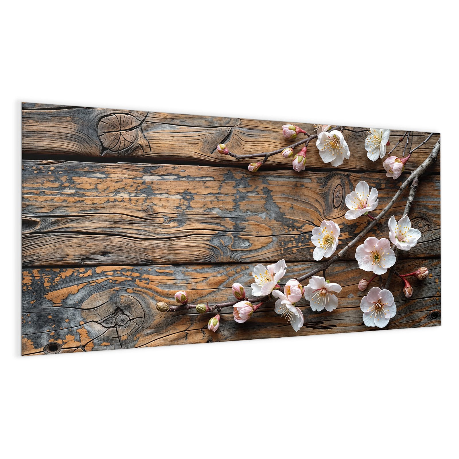 #grösse_100 x 50 cm