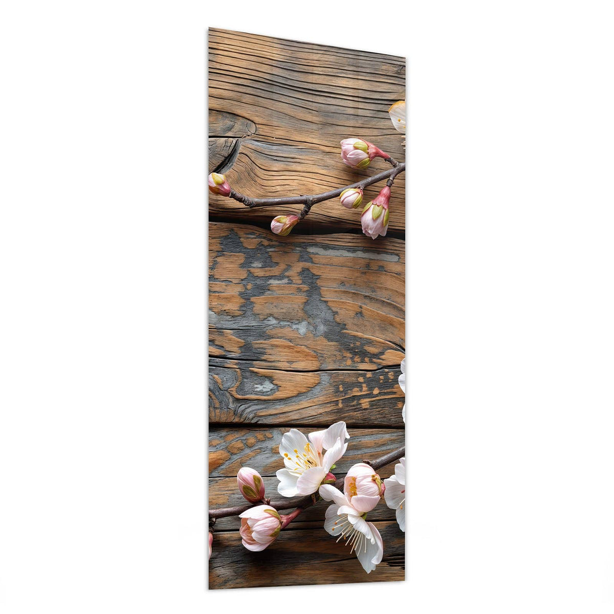 Glasbild Kirschblüten auf Altholz von der Seite, 4 mm Echtglas