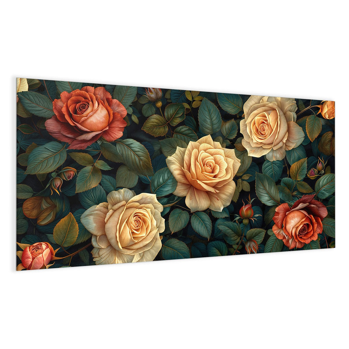 cremefarben-apricot Rosen zwischen dunkelgrün-blauen Blättern
