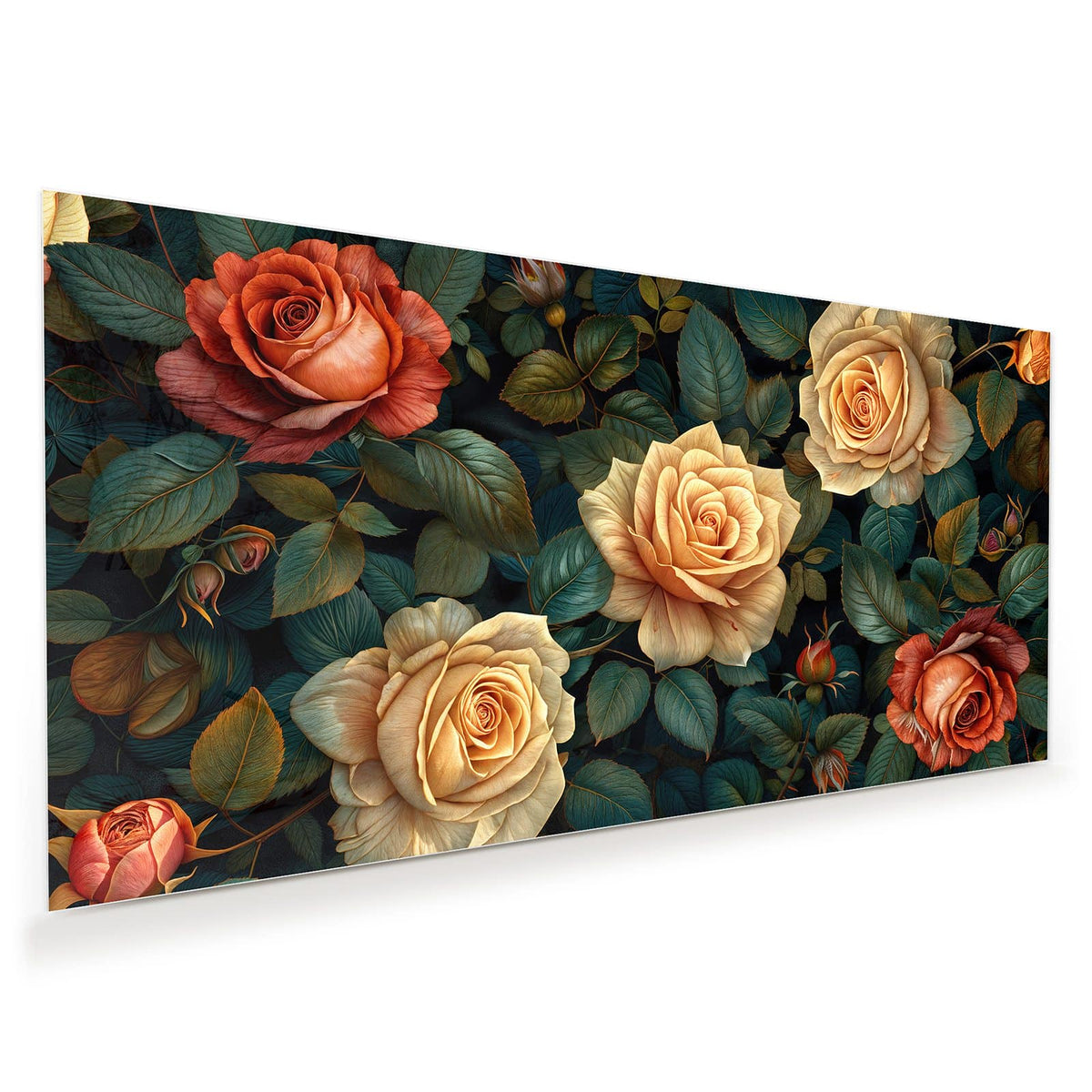 cremefarben-apricot Rosen zwischen dunkelgrün-blauen Blättern
