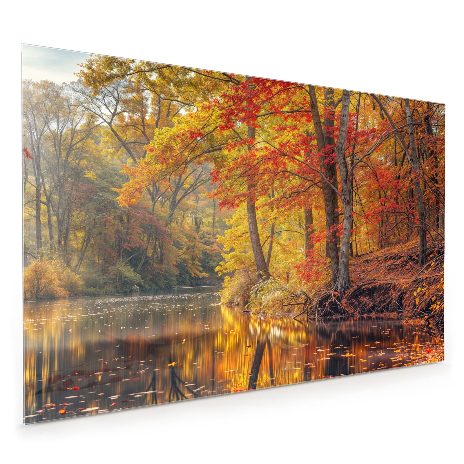 #80 x 120 cm_