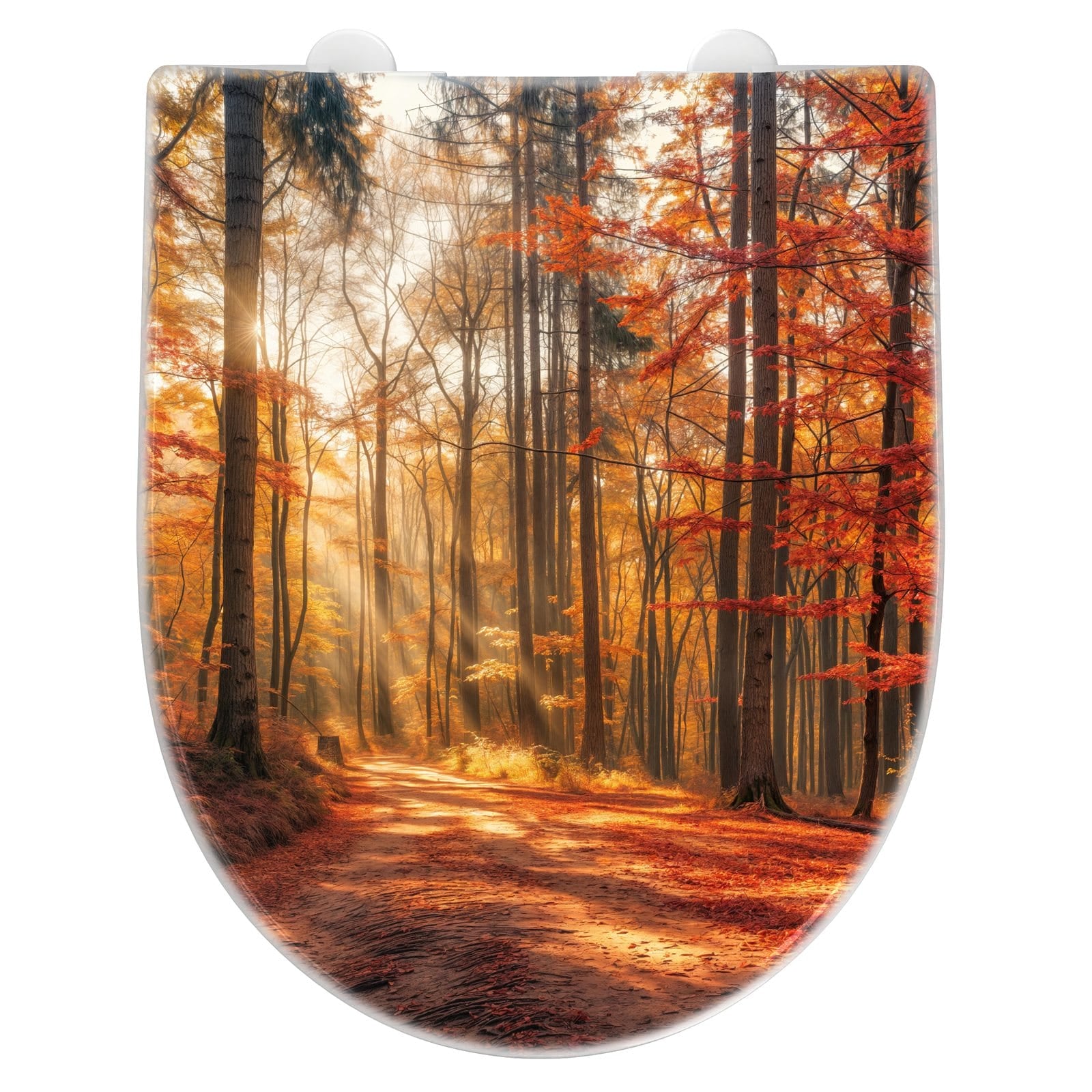 WC-Sitz mit Absenkautomatik Herbstlicher Waldweg