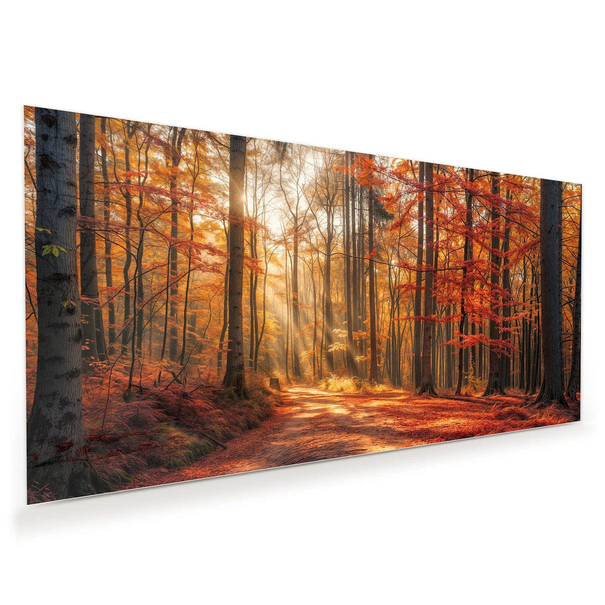 Laubbedeckter Waldweg, Sonnenstrahlen fallen schräg durch rotgoldene Buchen