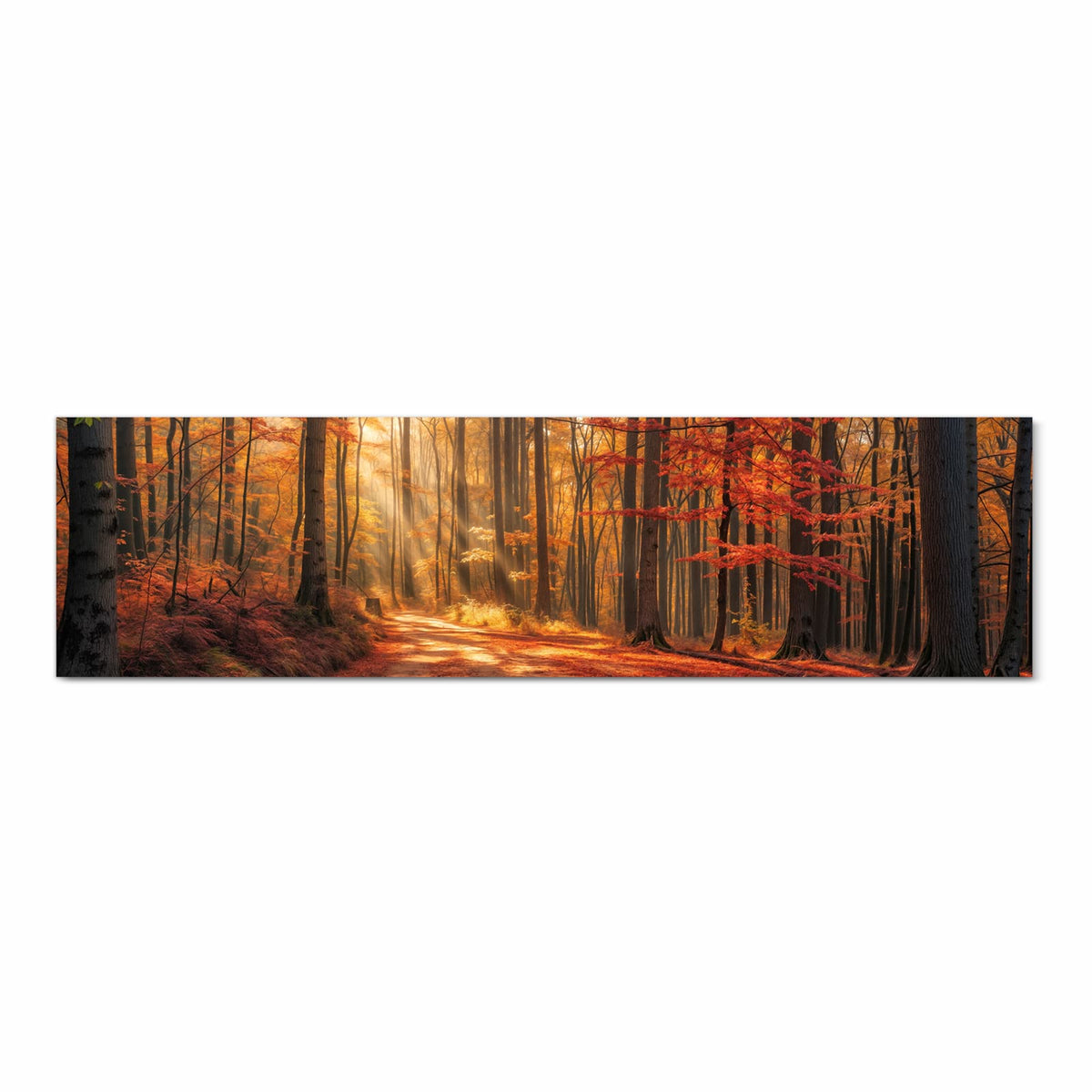 Küchenteppich mit Motiv Herbstlicher Waldweg in Frontansicht - sicher aufbewahren