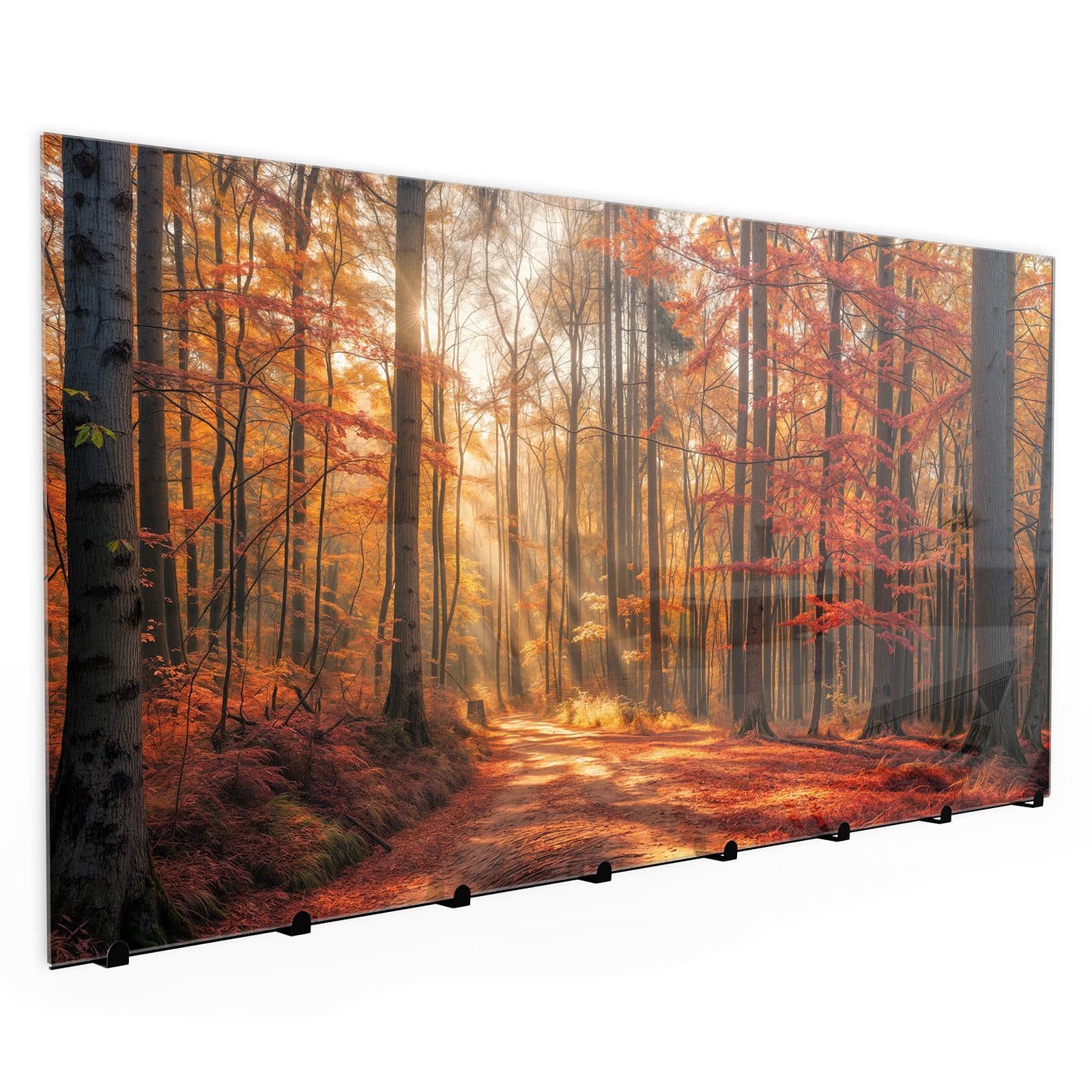 #grösse_30 x 60 cm