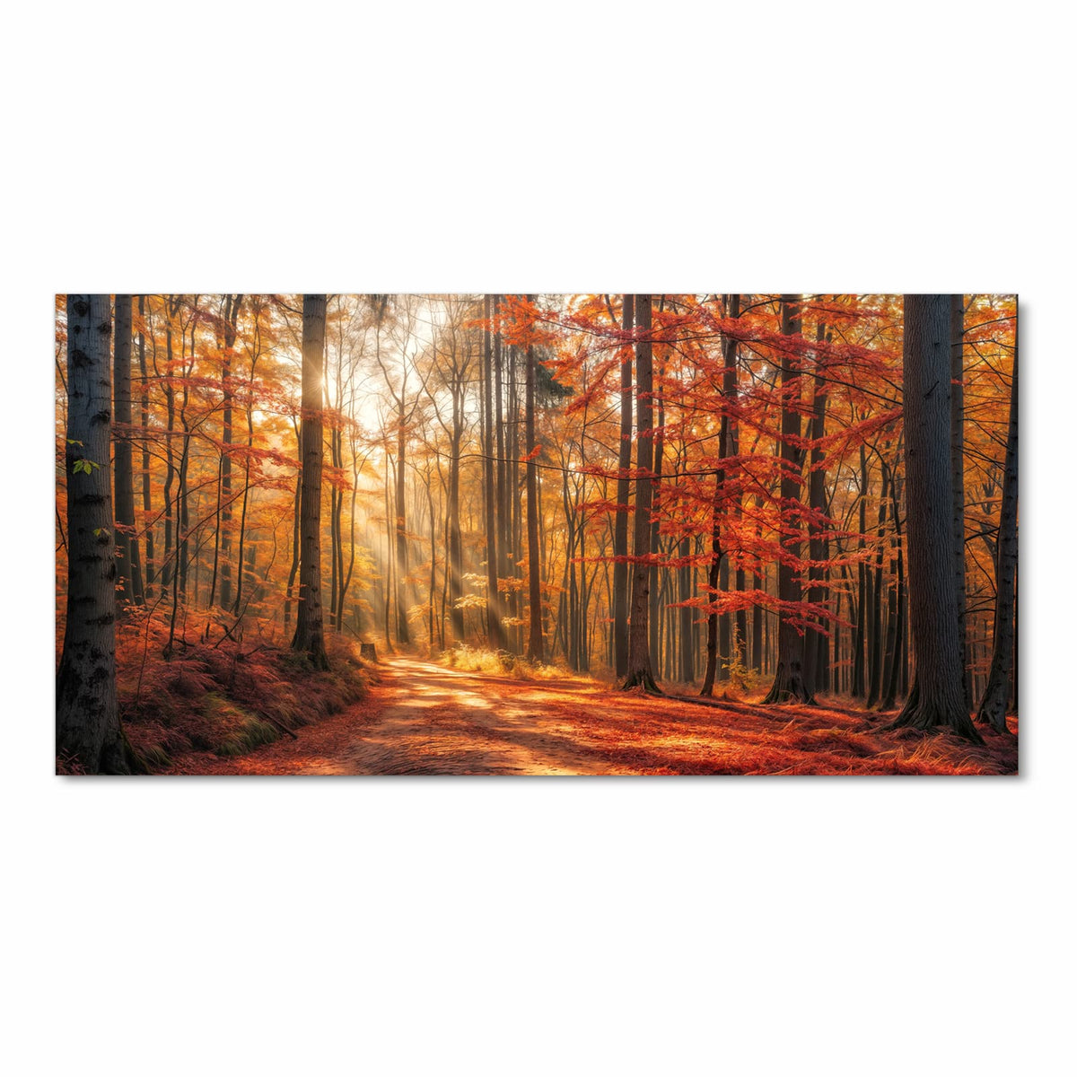 Waschbarer rutschfester Läufer mit Motiv Herbstlicher Waldweg in Frontansicht