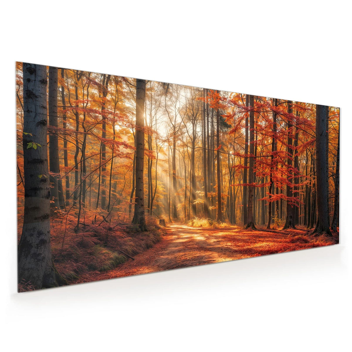 Küchenrückwand aus Glas im Hochformat mit Motiv Waldweg im Herbstlicht: Laubbedeckter Waldweg, Sonnenstrahlen fallen schräg durch rotgoldene Buchen