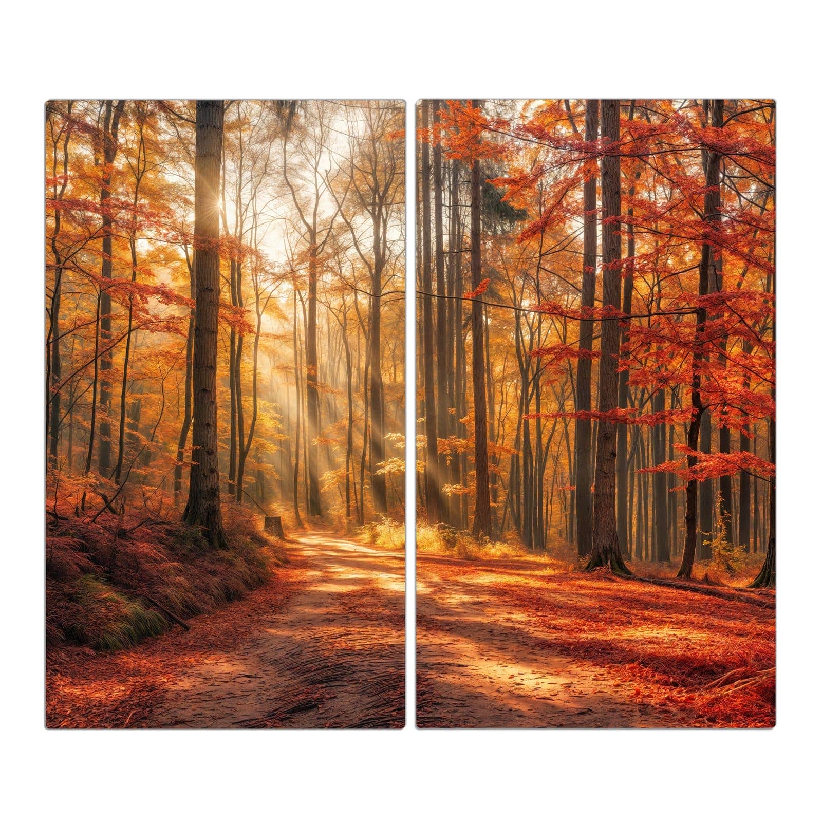 2-teilige Herdabdeckung aus Glas mit Herbstlicher Waldweg-Motiv in der Frontansicht #grösse_2-Teilig (60x52cm)