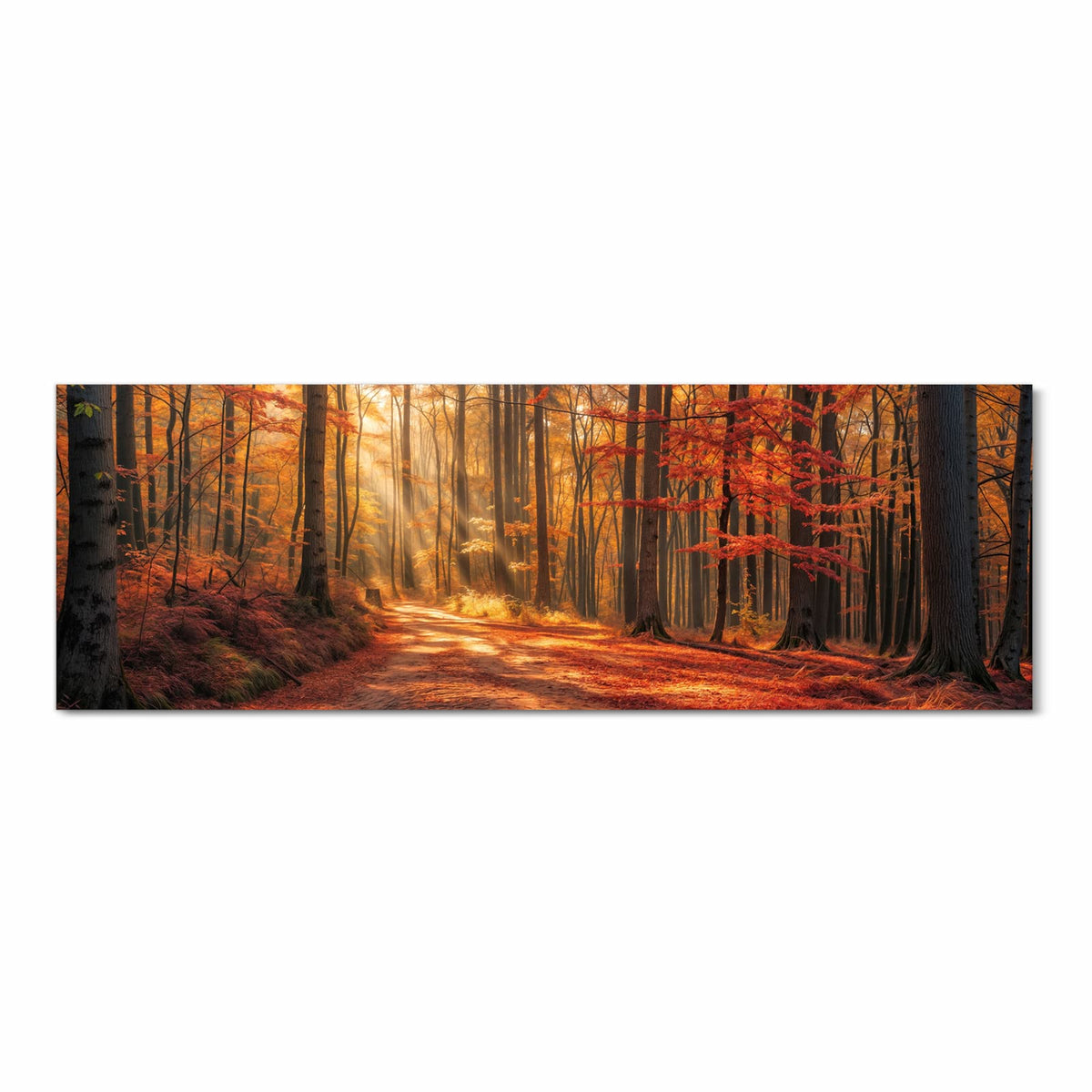 Rutschfester dünner Teppich mit Motiv Herbstlicher Waldweg in Frontansicht für sicheren Stand