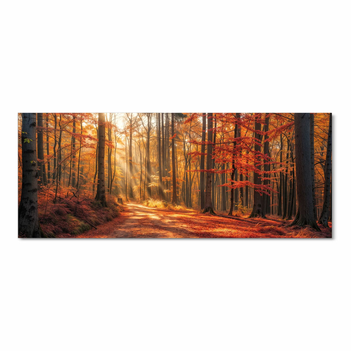 Laubbedeckter Waldweg, Sonnenstrahlen fallen schräg durch rotgoldene Buchen