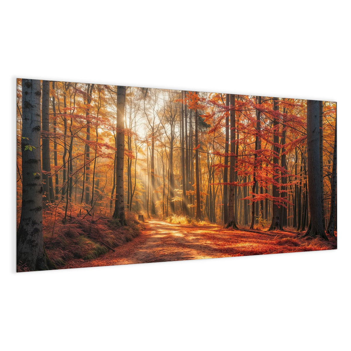 Laubbedeckter Waldweg, Sonnenstrahlen fallen schräg durch rotgoldene Buchen