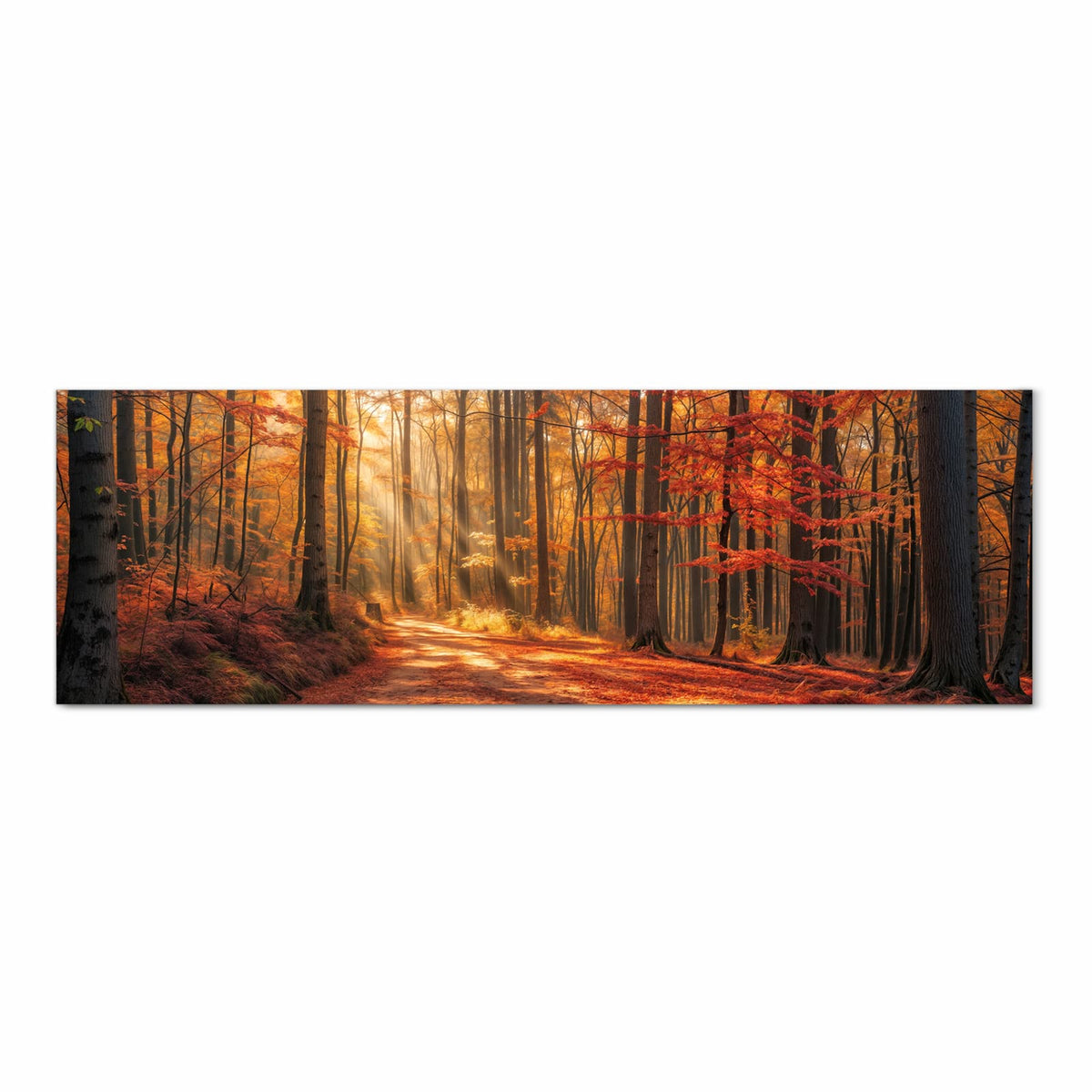 Farbbeständiger Bodenläufer mit Motiv Herbstlicher Waldweg in Frontansicht