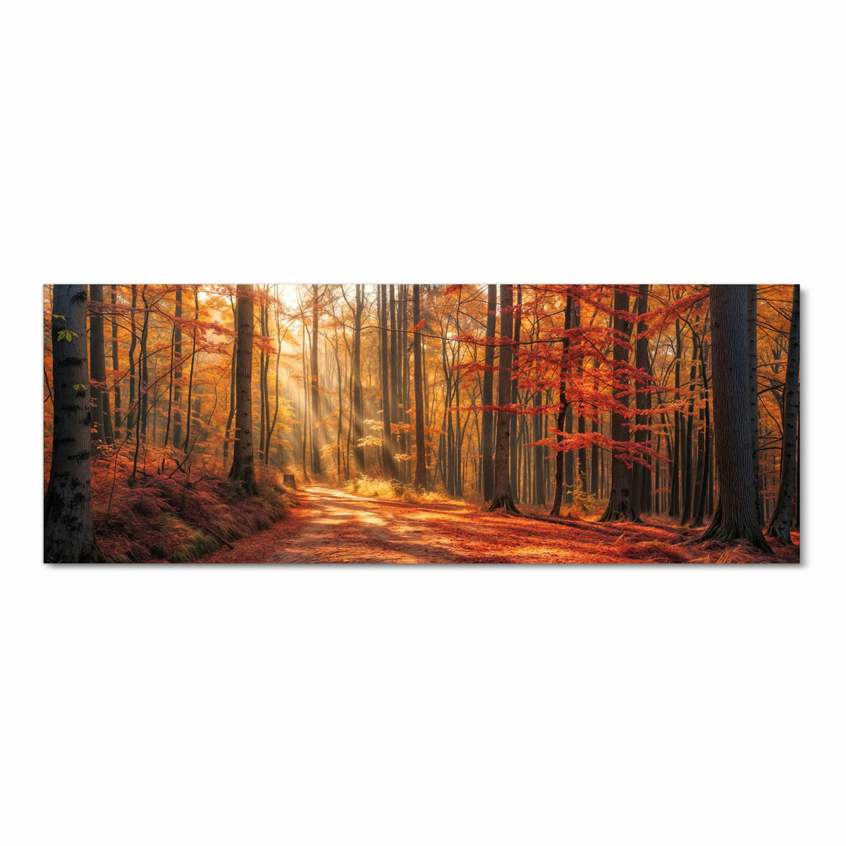 Zeitsparender waschbarer Küchenteppich mit Motiv Herbstlicher Waldweg in Frontansicht