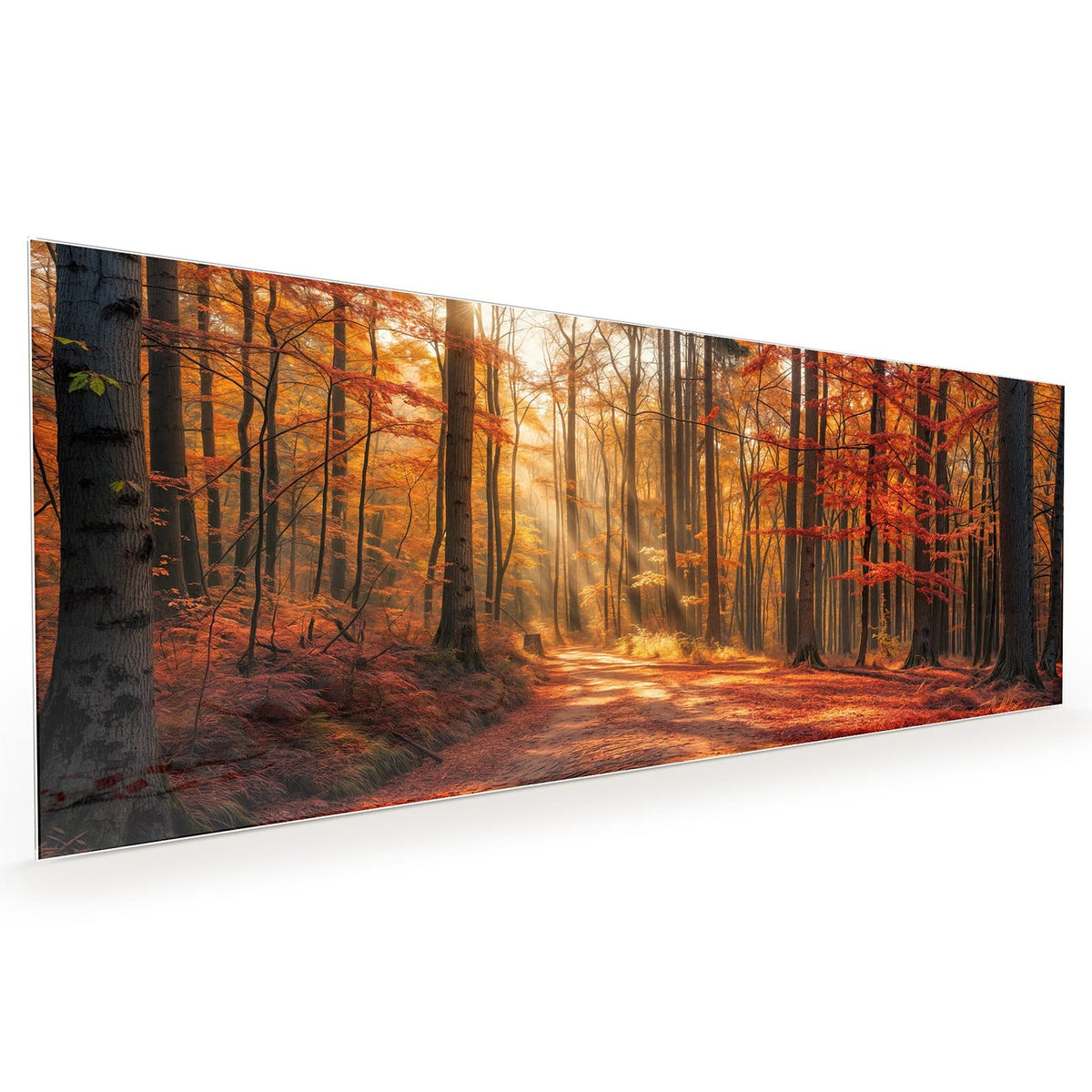 #grösse_40 x 100 cm #grösse_50 x 125 cm #grösse_60 x 150 cm
