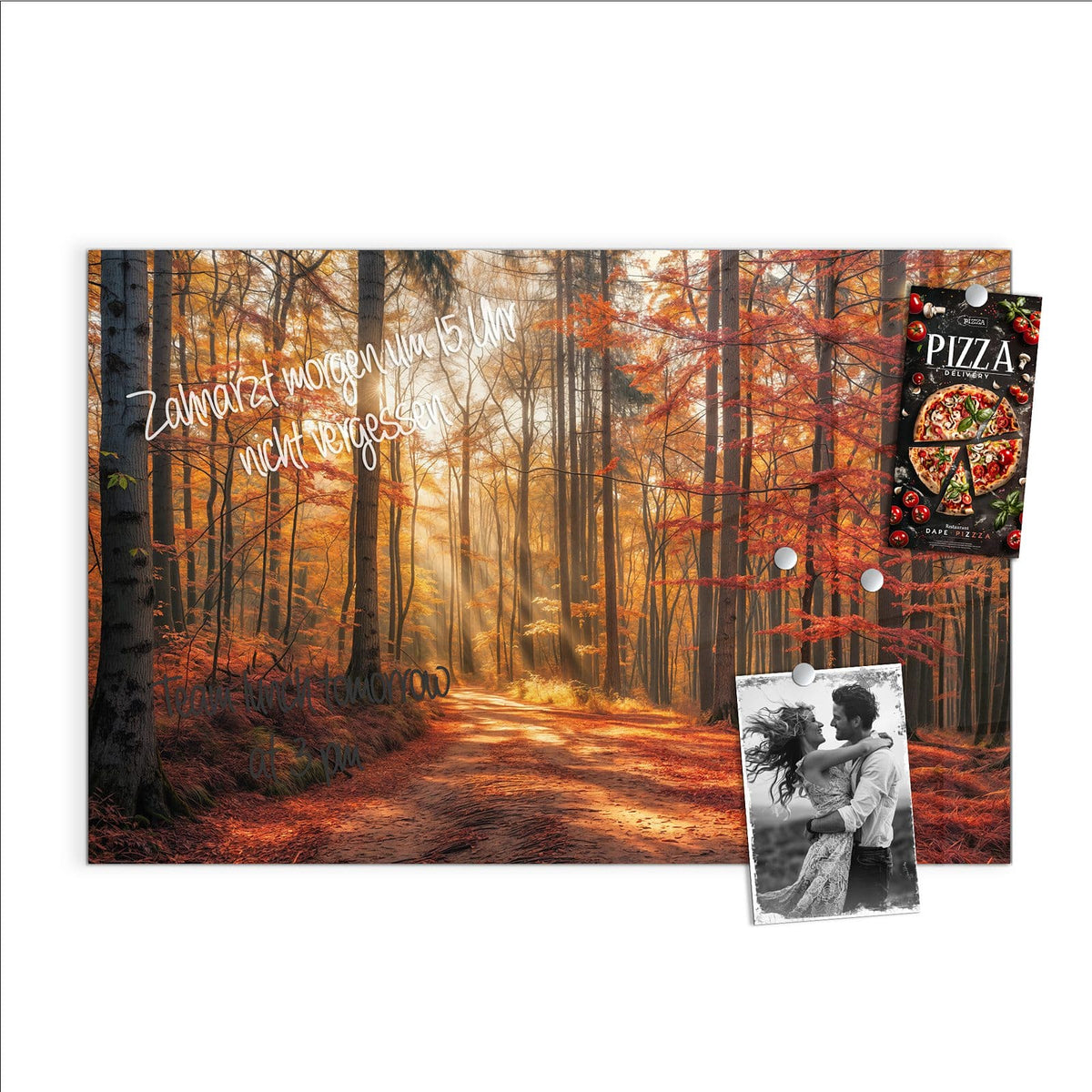 Beschreiben, abwischen, anheften – Magnettafel - Waldweg im Herbstlicht