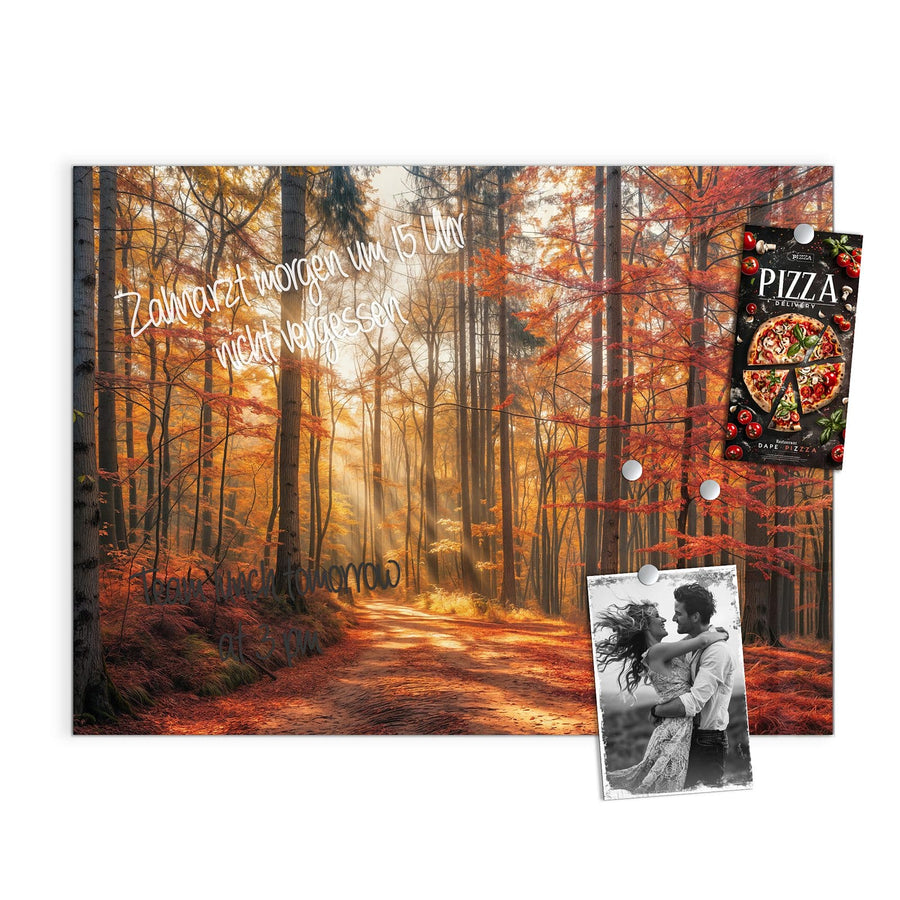 Maße Magnettafel - Waldweg im Herbstlicht