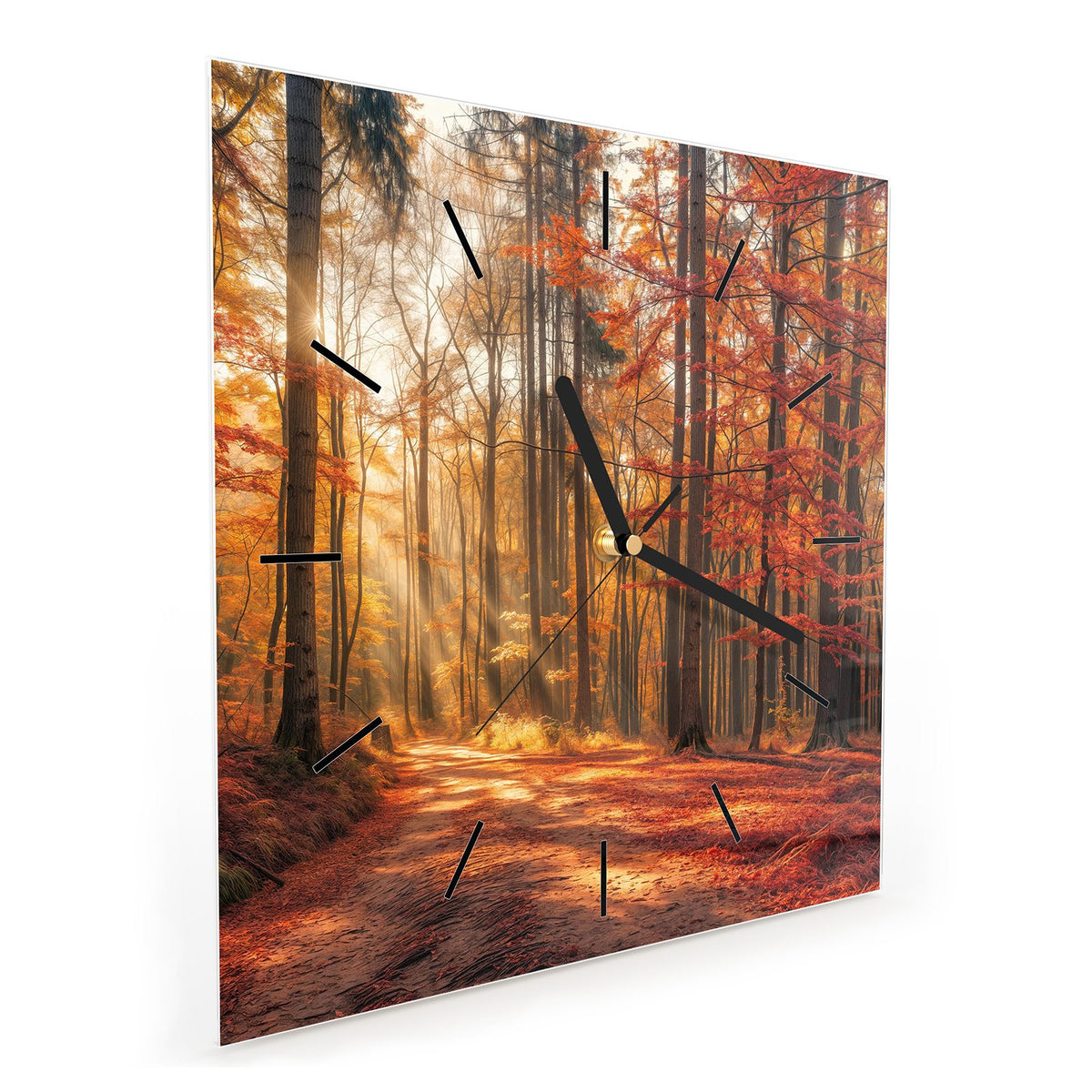 Quadratische Wanduhr aus Glas Waldweg im Herbstlicht schräg von der Seite, 4 mm starkes Glas
