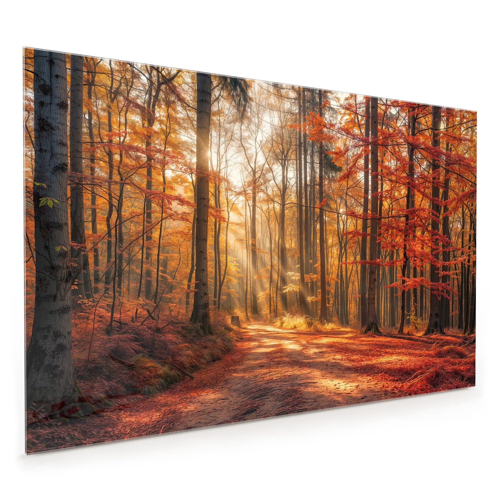 #80 x 120 cm_