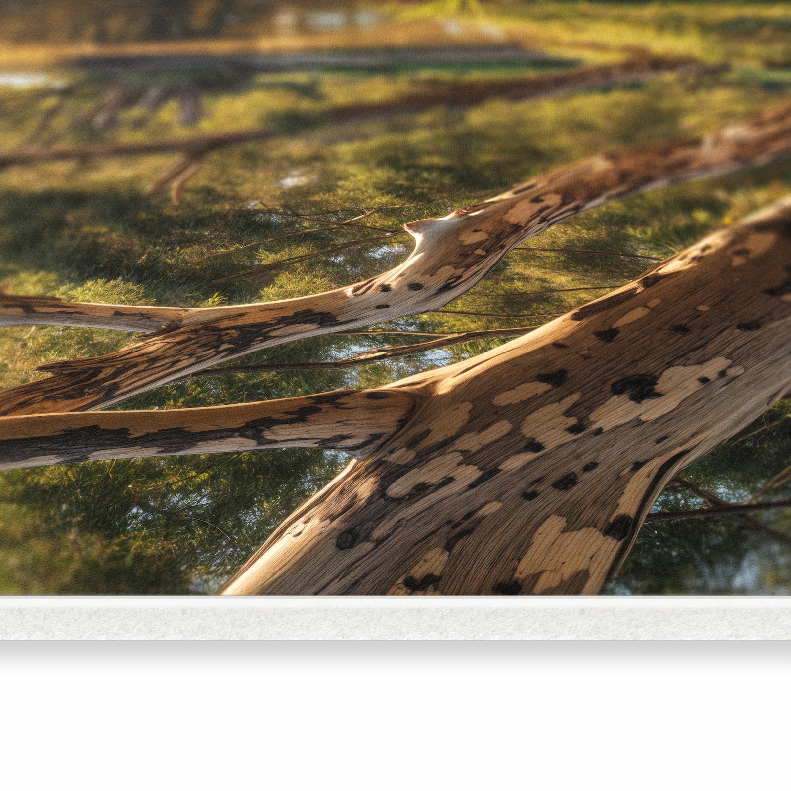 Ordnungsliebender Küchenläufer mit Motiv Baum am Flussufer in seitlicher Ansicht