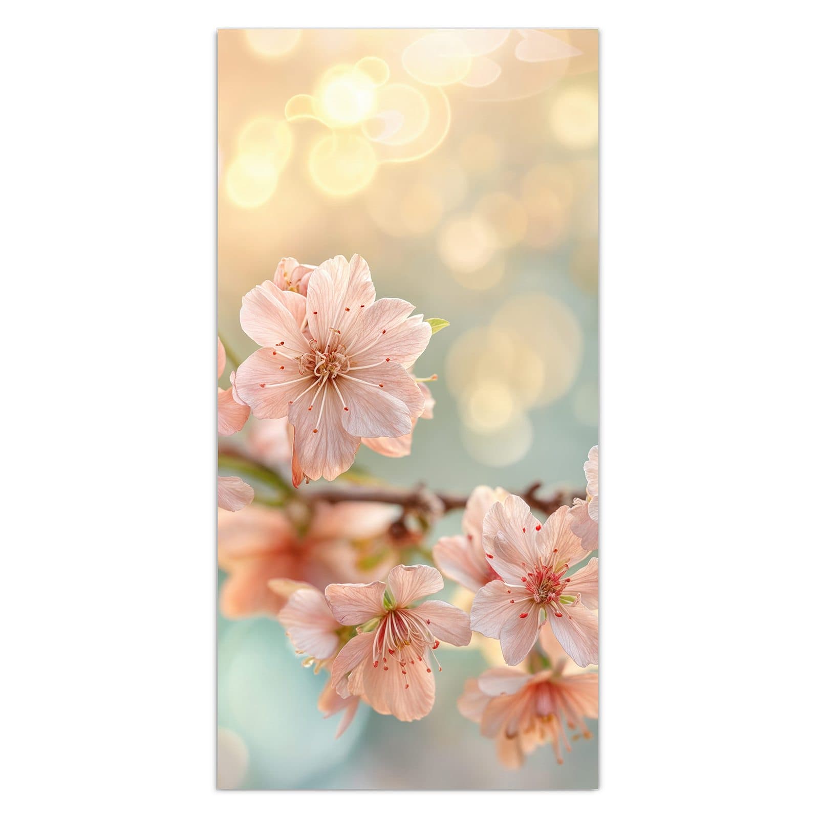 #grösse_30 x 60 cm #grösse_40 x 80 cm #grösse_50 x 100 cm #grösse_55 x 110 cm #grösse_60 x 120 cm