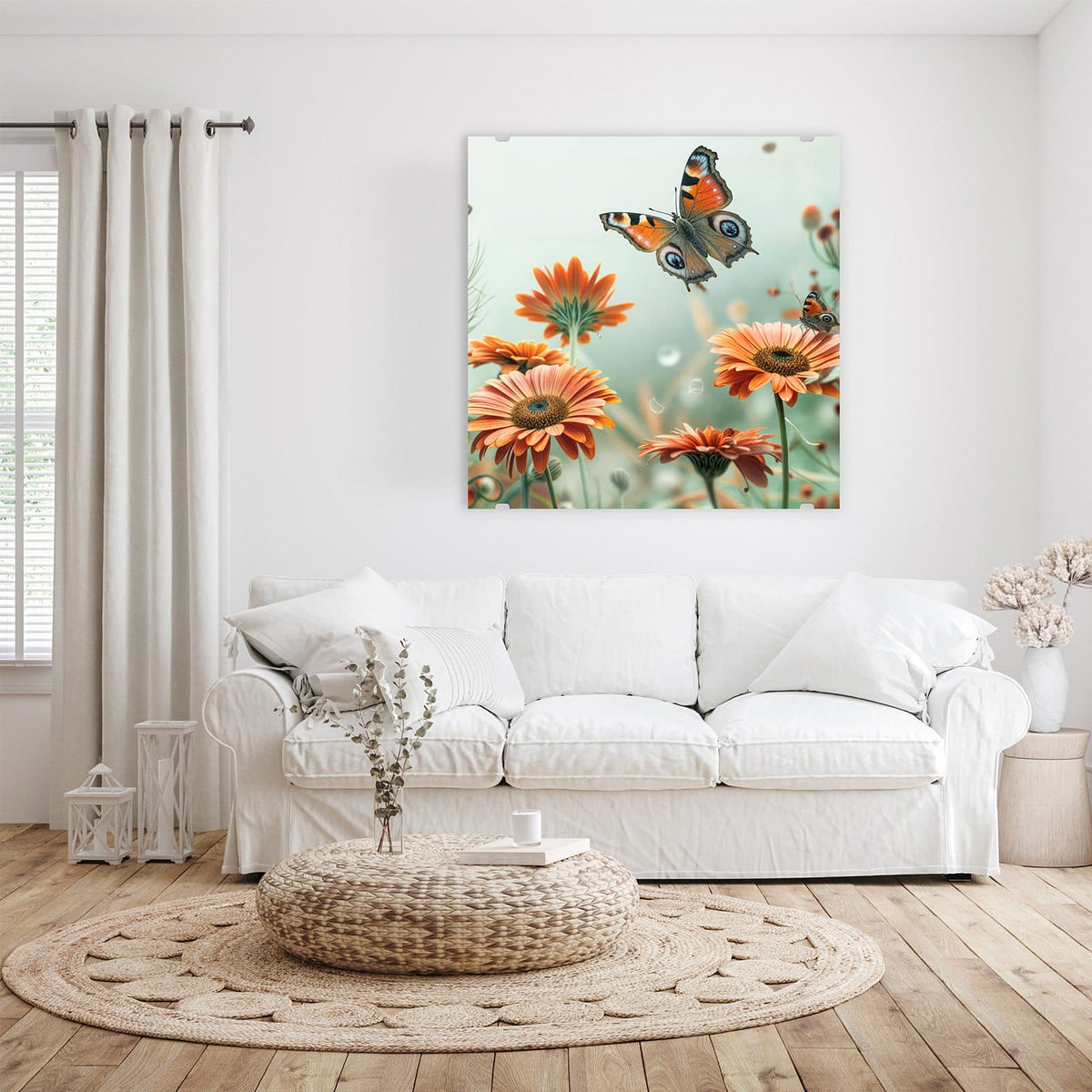 Glasbild Falter und Gerbera an der Wand – Orange Gerberablüten mit einem großen Tagpfauenauge im Flug, ein zweiter Falter rechts