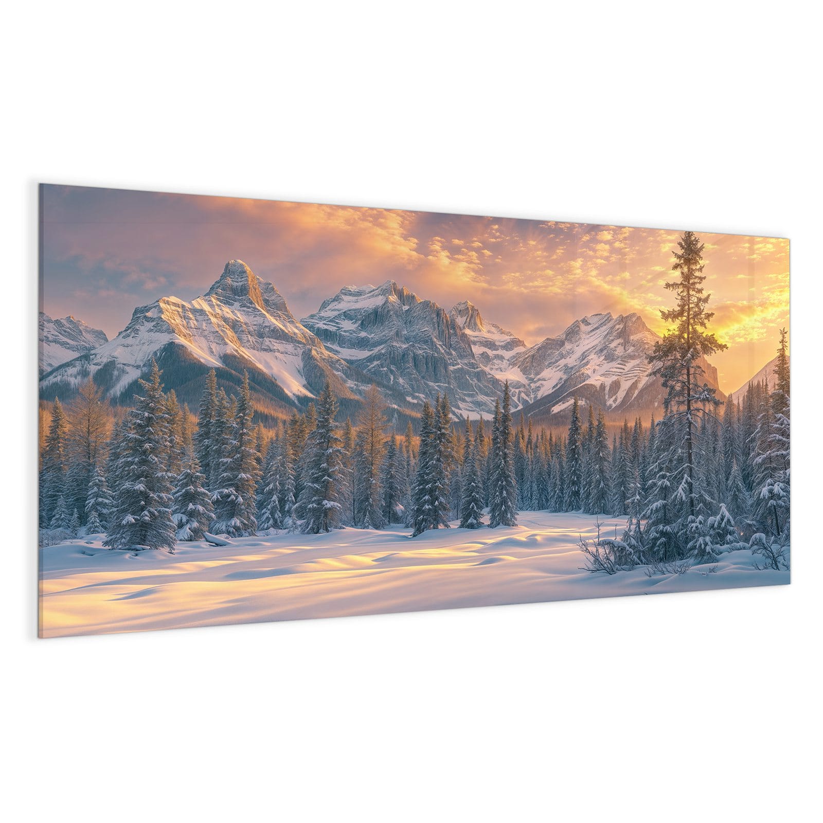 #grösse_100 x 50 cm