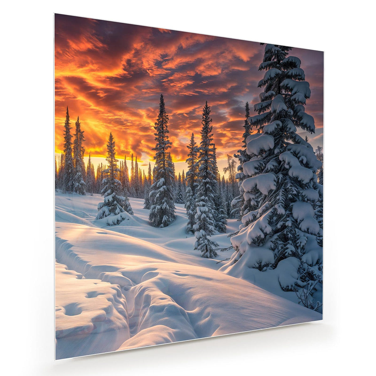 Verschneiter Nadelwald mit tiefen Schneewehen unter feurig rot-orangem Abendhimmel