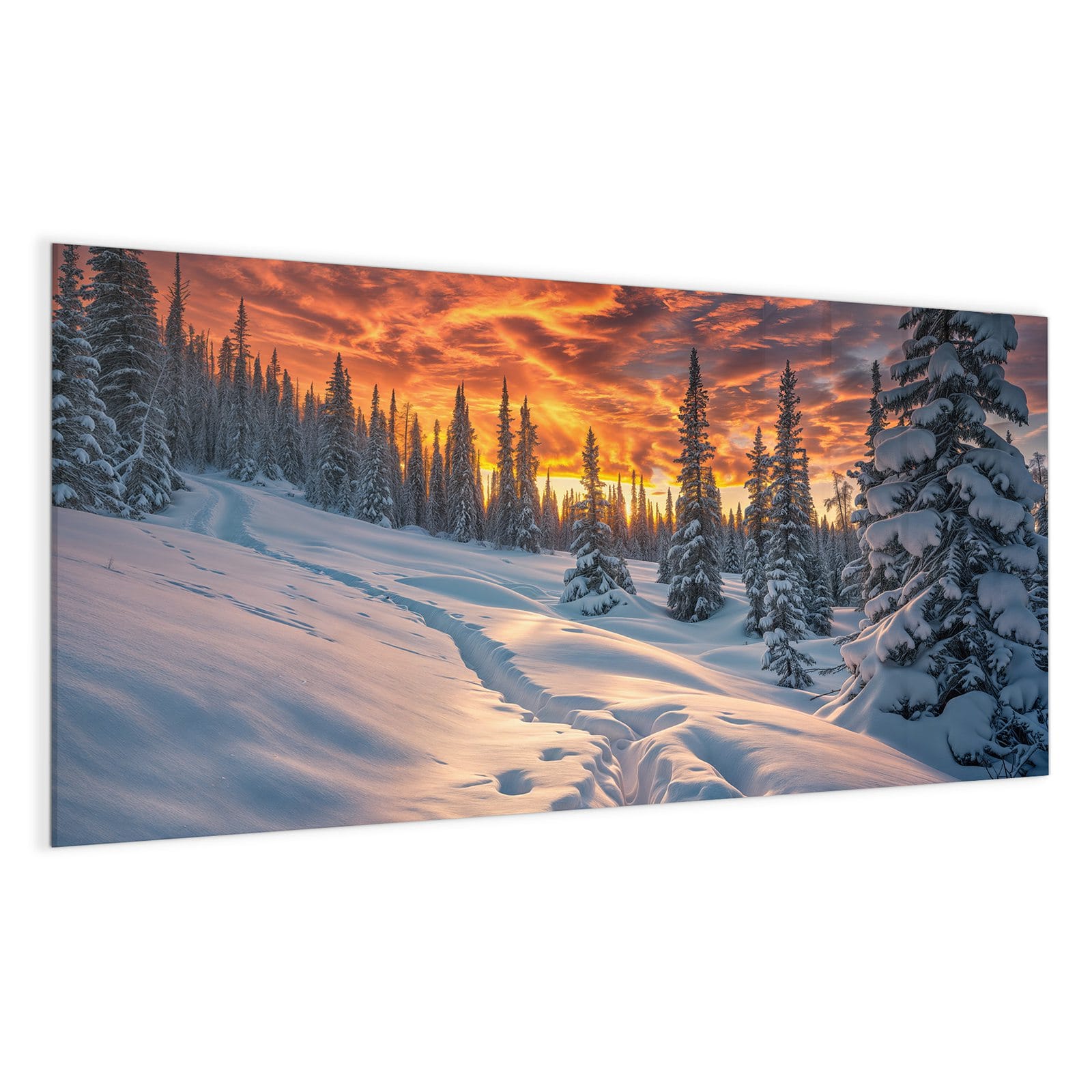 #grösse_100 x 50 cm