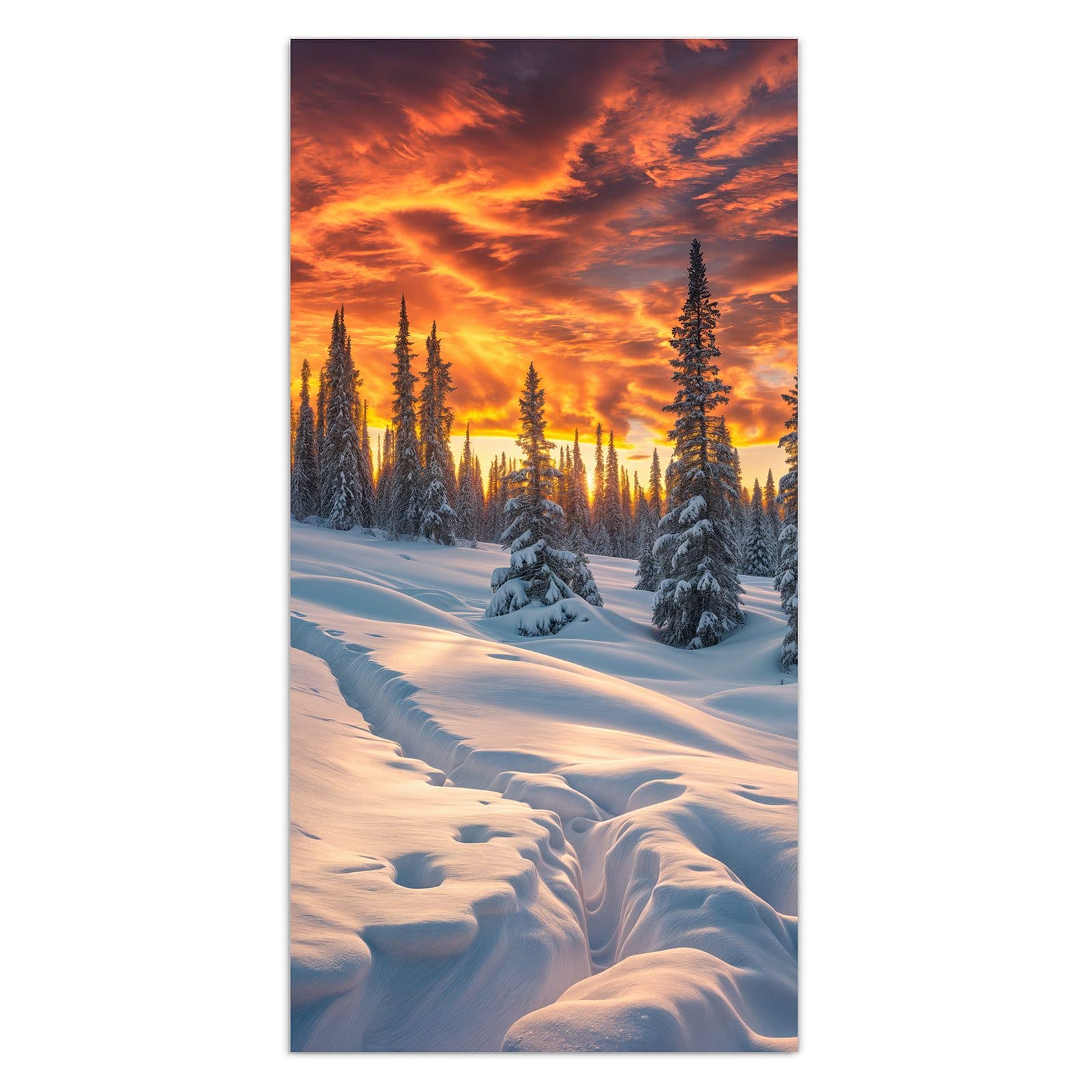 #grösse_30 x 60 cm #grösse_40 x 80 cm #grösse_50 x 100 cm #grösse_55 x 110 cm #grösse_60 x 120 cm