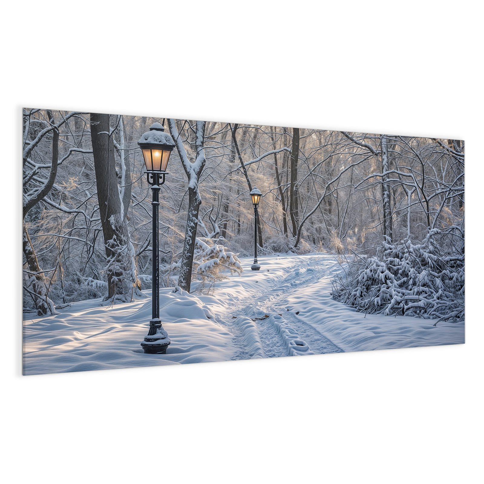 #grösse_100 x 50 cm