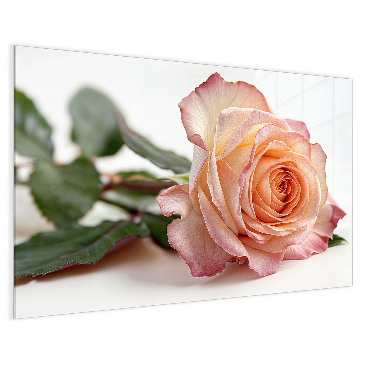 4 mm Glas statt lackiertem Blech – Magnettafel - Rose in Apricot