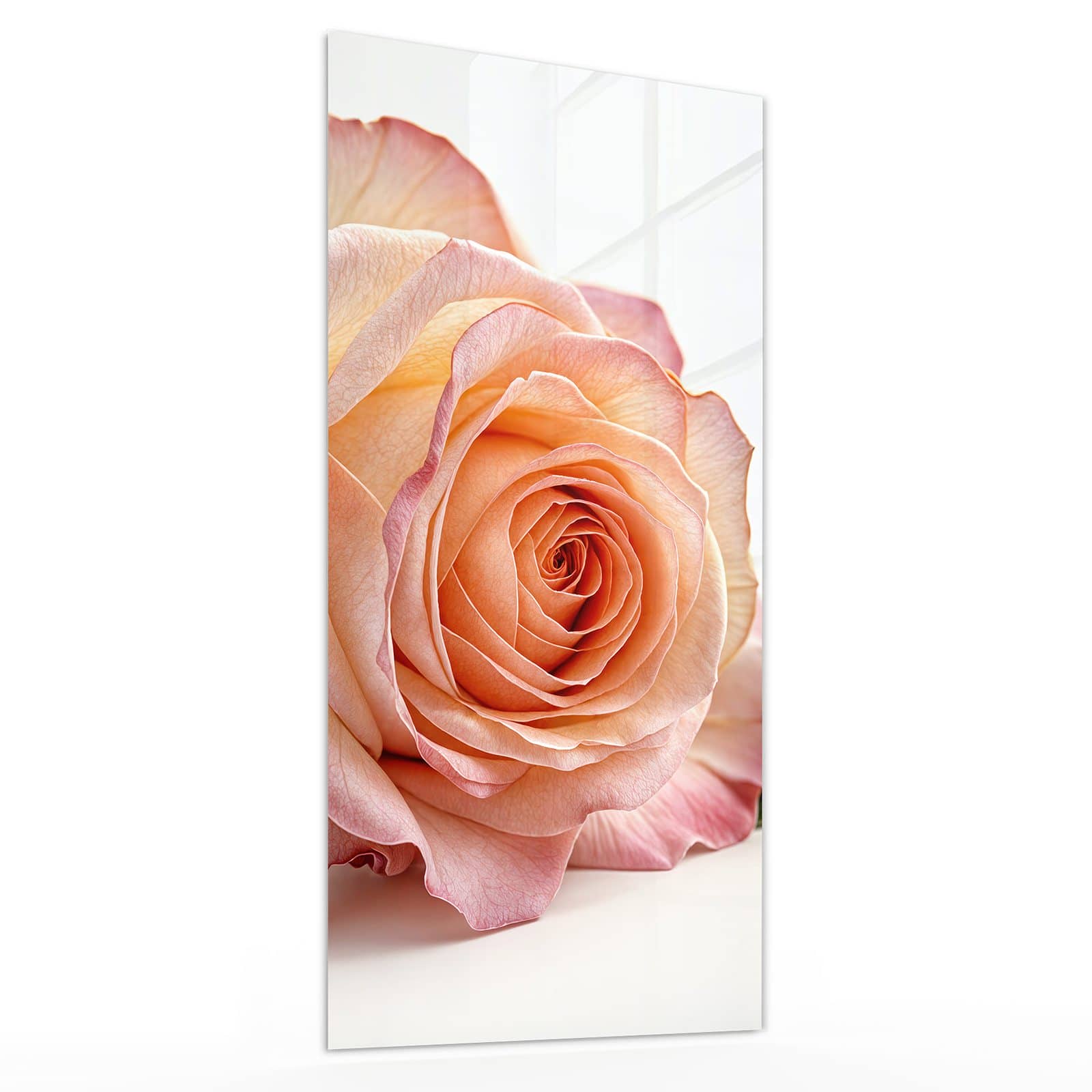 #grösse_30 x 60 cm #grösse_40 x 80 cm #grösse_50 x 100 cm #grösse_55 x 110 cm #grösse_60 x 120 cm