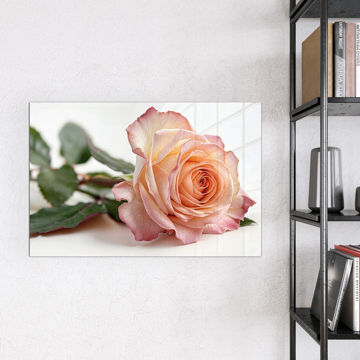 Magnettafel - Rose in Apricot – Apricotfarbene Rose mit rosa Rand